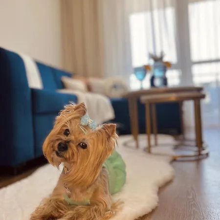 Downtown Sinatra Air-conditioned Apartman Rzeszów