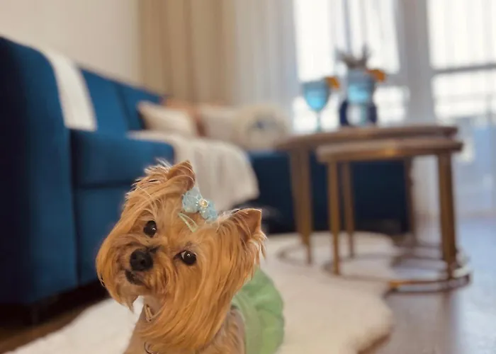 Downtown Sinatra Air-conditioned Apartman Rzeszów