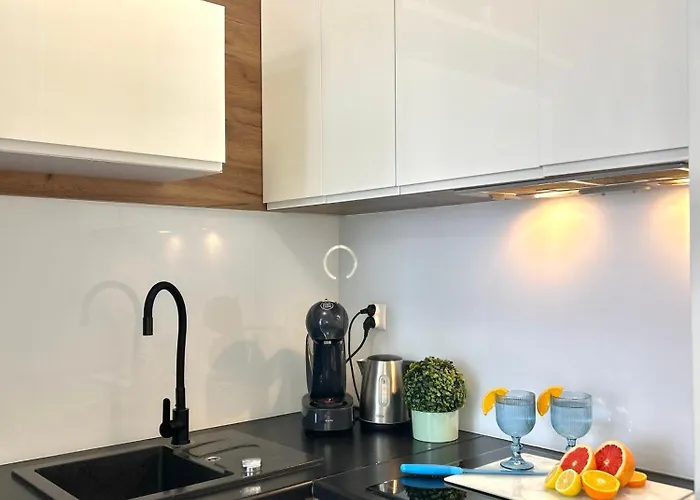 Downtown Sinatra Air-conditioned Rzeszów